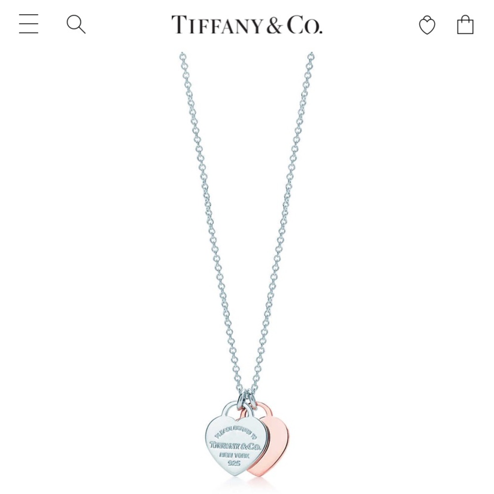 Tiffany & Co Necklace